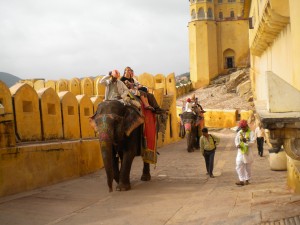 Amber Fort Elephant