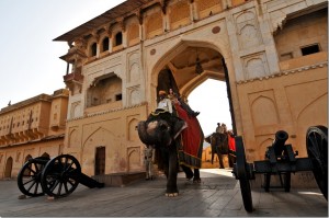 Amber Fort Elephant Images