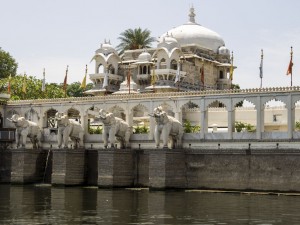 Jag Mandir Carved Statues of Elephants Pictures