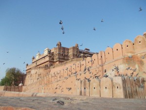 Junagarh Fort Pictures