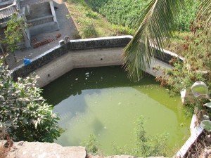 Arnala Fort Inside Octagonal Reservoir