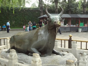 Bronze Ox Statue Pictures