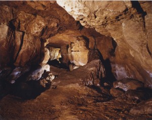 Cave of Altamira