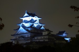 Himeji Castle at Night