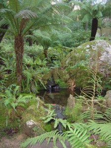 Palace Queen's Fern Garden