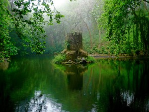 Pena National Palace Pond