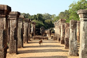 Ruins of Polonnaruwa