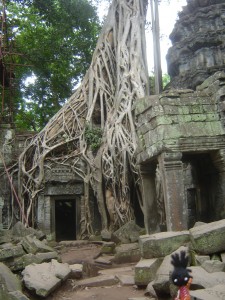 Tree Temple Angkor Wat