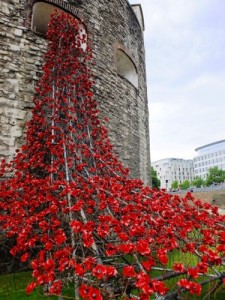 The Tower of London Poppy