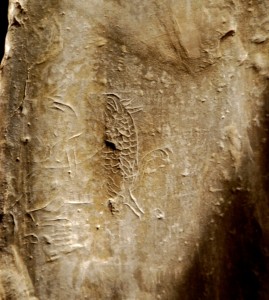 Maeshowe Dragon Inside Wall