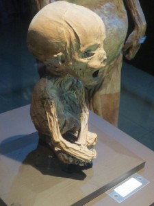 Baby Mummy of Guanajuato