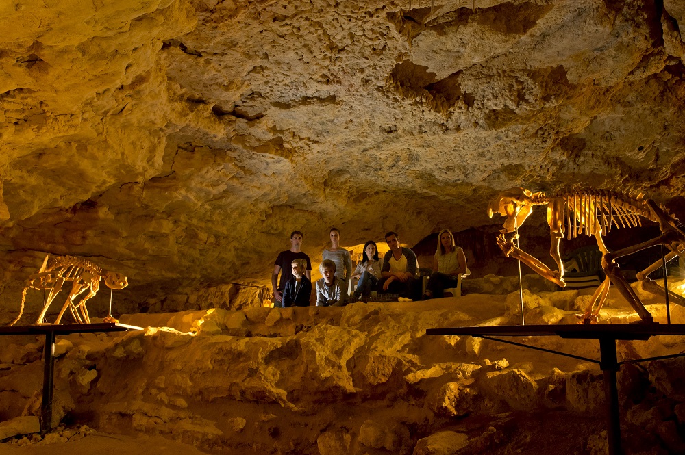 Image result for Naracoorte Caves